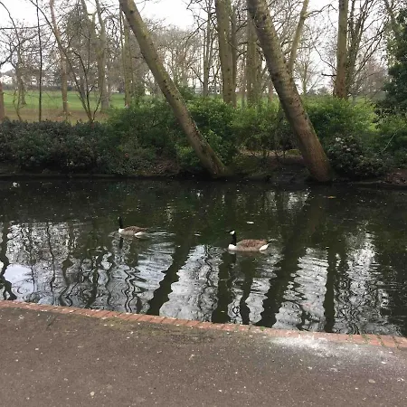 Superb Peaceful 1 Bed In St George.