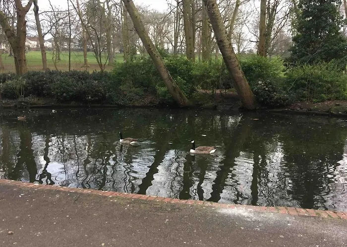 Superb Peaceful 1 Bed In St George.